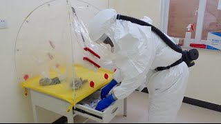 $20M CDC grant to help prevent Ebola outbreak in Liberia