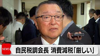 自民党 宮沢税調会長「大変厳しい」消費税減税をめぐり勉強会