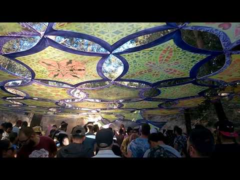 Guapa Lee @ Magic Dwarfs