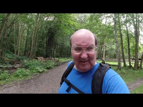 MongoTV_3307 - English Vlog_0172 - Timber Station In Frederiksdal