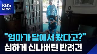 달에서 돌아온 우주비행사…반려견의 격한 환영 순간 [잇슈 SNS] / KBS  2026.04.16.