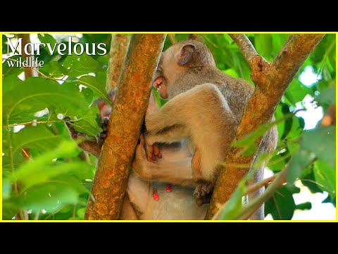 Empty milk...! Big Jonna​ f/rustratedd s/tolee the milk u/nachievedd, Jane n/onconsensuall