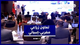 تعاون مغربي إسباني لتعزيز الشراكات في القطاعات الزراعية والغذائية thumbnail