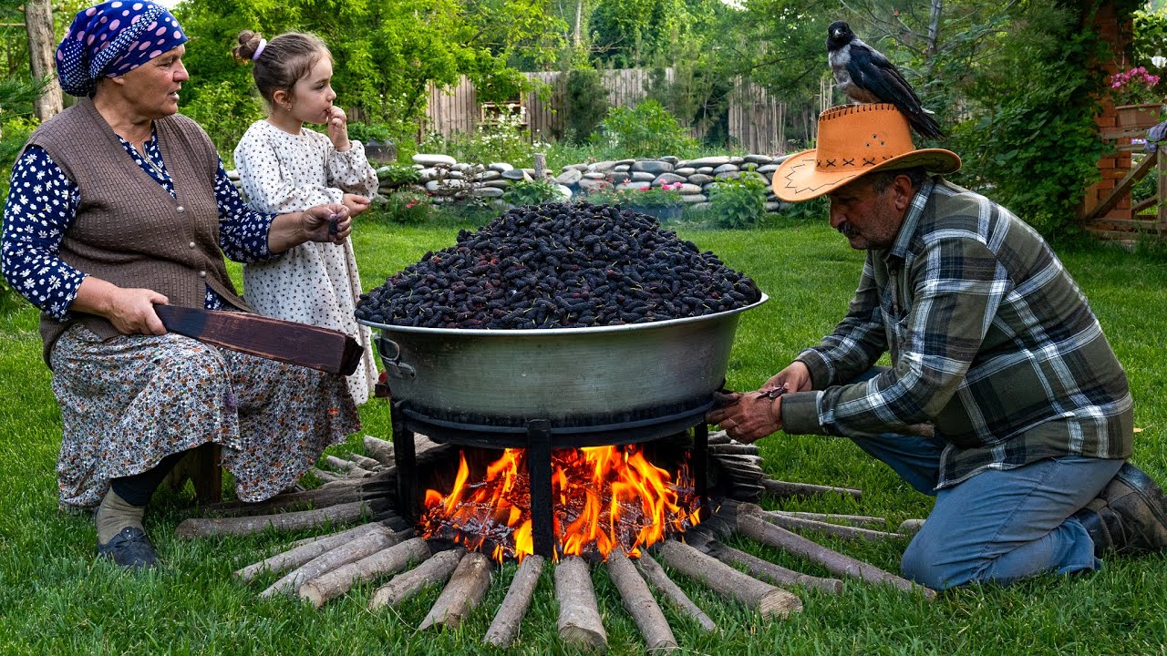 From Harvest to Storage: Preserving Mulberries for Winter