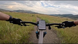Grazing Elk - South Valley Park - Littleton - Colorado