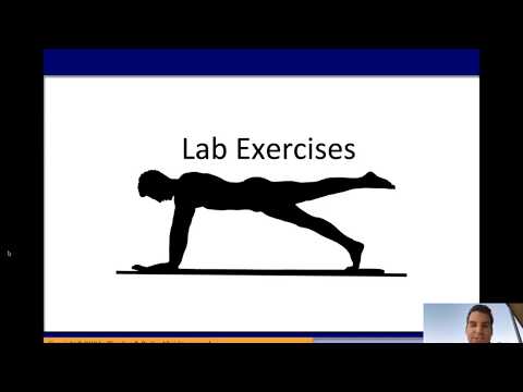 IEE 475: Lab 8, Part 3 - Laboratory Exercise and Instructions