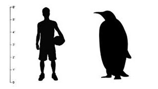 That's a BIG F***ING PENGUIN