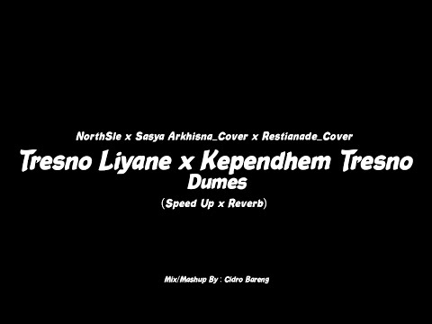 Tresno Liyane x Kependhem Tresno x Dumes (Speed Up x Reverb) CIDRO BARENG🎧