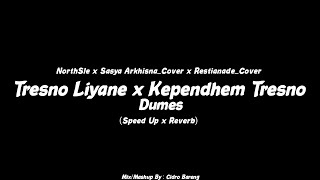 Download lagu Tresno Liyane x Kependhem Tresno x Dumes (Speed Up x Reverb) CIDRO BARENG🎧 mp3