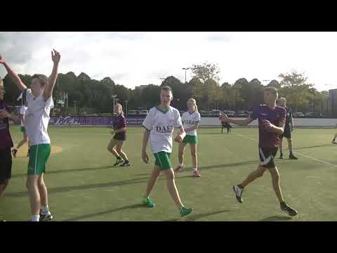 Refleks A2  dijkvogels A1