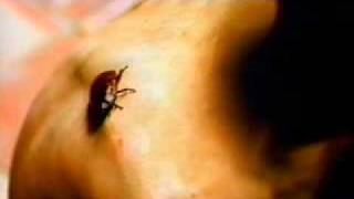 Ten in 2010-Bad Religion Official Video