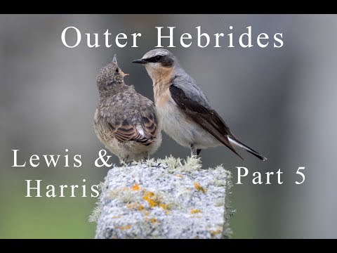 Landscape & Wildlife Photography | Part 5 | Isle of Lewis & Harris, Outer Hebrides, Scotland, | 2024