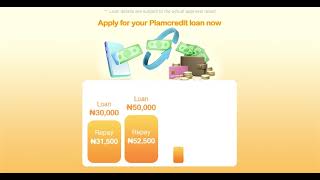 03 17 2023  Palmcredit  1200px628px