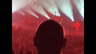 Wild nights by 311 on 311 day 2024