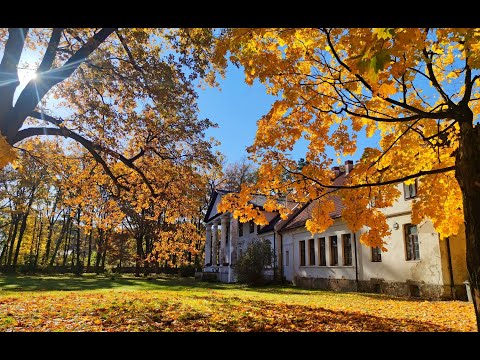 Dwór  na sprzedaż - k/Tarnowa