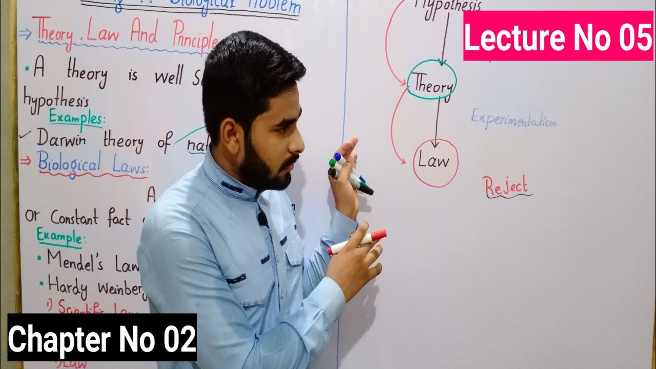 Theory, Biological Law And Principle
