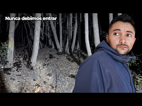 Fuimos de noche al BOSQUE DE LAS BRUJAS