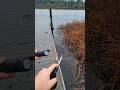 FULL STICK VS LAKE 💥 #fireworks #salute #pyro #lake #experiment
