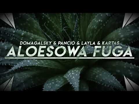 ALOESOWA FUGA @ Domagalsky & Pancio & Layla & Kartaś