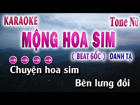 Mộng Hoa Sim Karaoke Tone Nữ ( Beat Gốc Hay Dễ Hát )