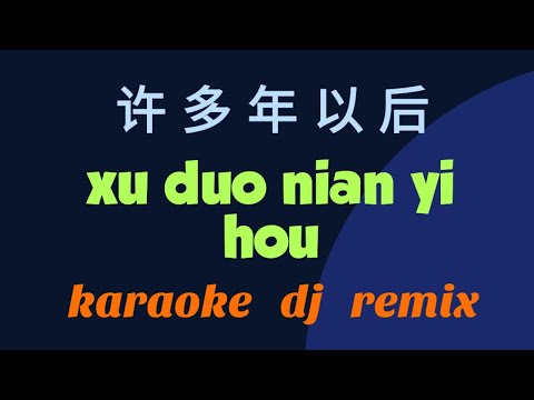 Xu Duo Nian Yi Hou Karaoke Remix 许多年以后 || (赵鑫 Zhao Xin)