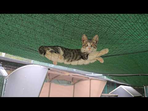 Image 10679