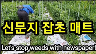 (잡초매트)신문지로 잡초를 막아보자! Let's stop weeds with newspaper.