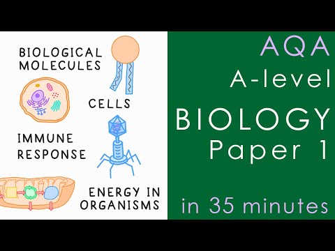 All of AQA BIOLOGY Paper 1 in 35 mins - A-level Biology