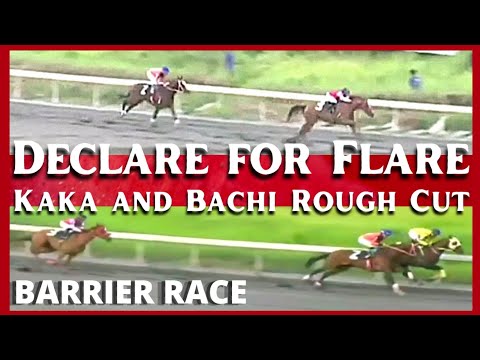 DECLARE FOR FLARE / KAKA AND BACHI / ROUGH CUT | BARRIER RACE