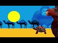 Animal Atlas V2