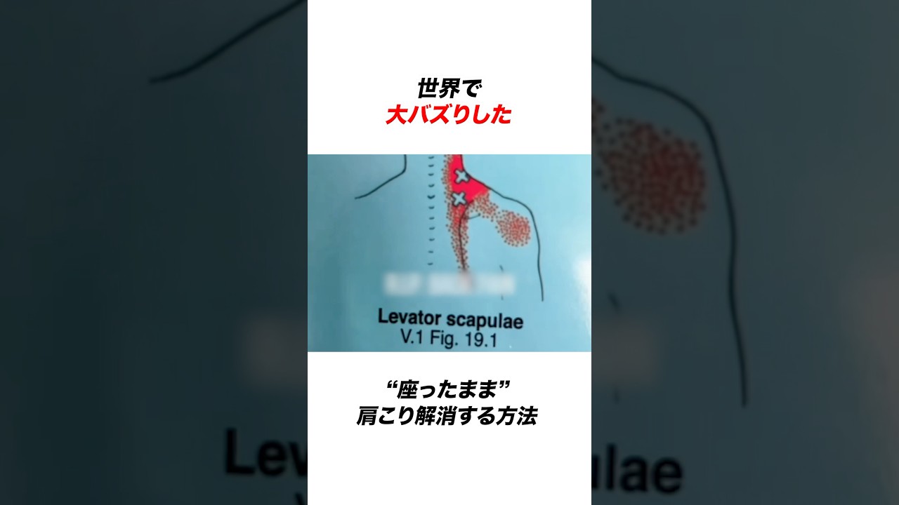 座ったまま肩こりを簡単に解消する方法が世界で話題 #肩凝り #ストレッチ #肩甲骨はがし #頭痛 #雑学