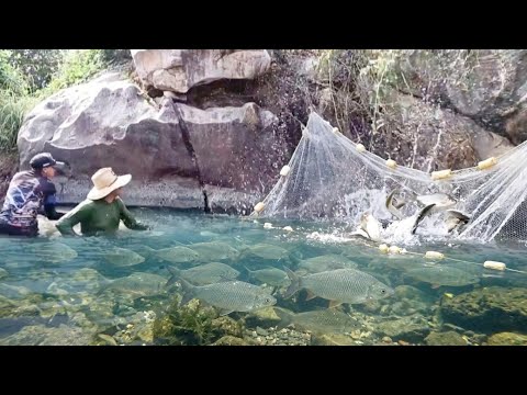 O RIO SECOU RÁPIDO É OS POÇOS FICOU COMPLETOS DE CURIMATÃS É TUCUNARÉS