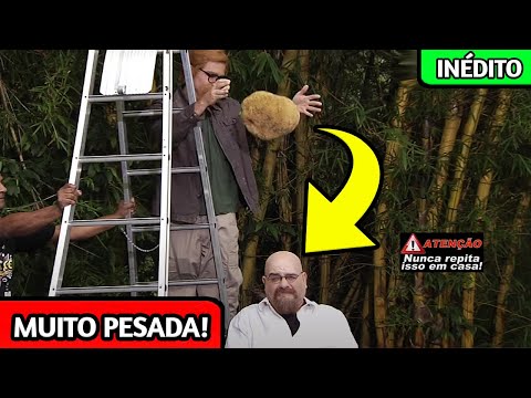 BOLINHA JOGOU UMA JACA NA CABEÇA DO BOLA | Verdade ou Mito - Ep. 03