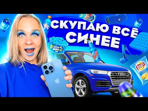 СКУПАЮ ВСЕ СИНЕГО ЦВЕТА ЧЕЛЛЕНДЖ! Мой бюджет не ограничен! 24 часа в одном цвете! // EVA mash