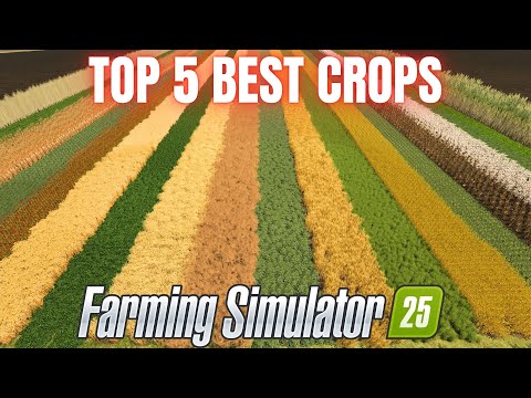 TOP 5 BEST CROPS TO GROW - Farming Simulator 25
