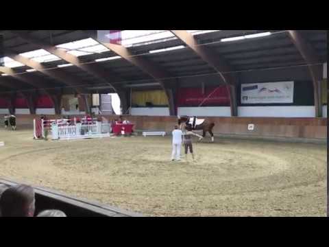 Westfälische Juniormeisterschaft 2017 Paula Waskowiak