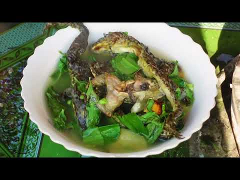 Frog Soup is Good in Winter Season | Rural Family Food