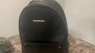 ALDO Women's Agralinia Review, Elegant Aldo backpack