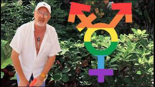 My SEXUALITY and INFIDELITY in THAILAND