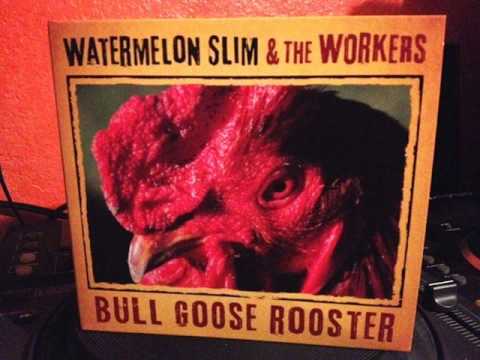 Watermelon Slim & The Workers - Bull Goose Rooster