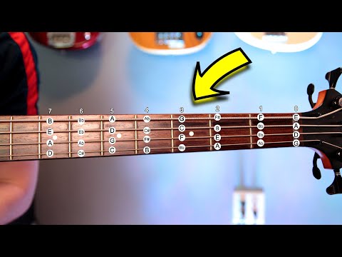 Music Theory For BASSISTS - What You MUST Know