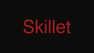 Skillet - One Day Too Late (lyrics)