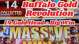 Buffalo Revolution - Big Win with 14 Gold Heads