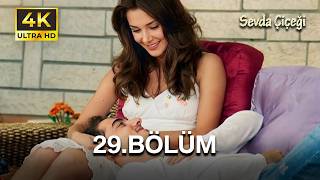 Sevda Çiçeği | 29. Bölüm (4K)