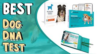 Top 5 Best Dog Dna Tests In 2022 _ How to Choose the Best Dog Dna Tests