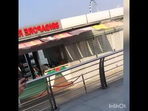 #RogerChika #Family time #Merlion #FlowerDome #MarinaBay #GardenByTheBay #HoneyMoonSG