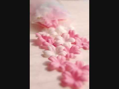 Teresa Teng, RED BEANS