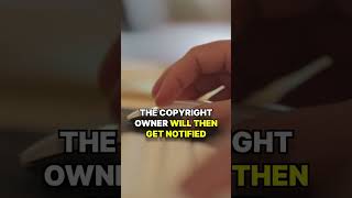 COPYRIGHT CLAIM: What It Is & How To Fix It