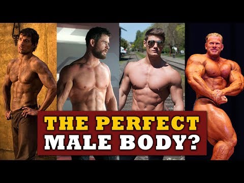 What Is Considered The Perfect Male Body? (The Adonis Index) – Iron Built Fitness