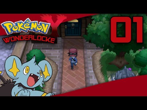 Pokémon Y Wonderlocke- Beginner's Luck Ep. 1